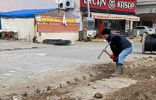 Marmara turizme hazırlanıyor