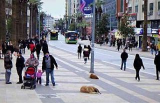 Maske zorunluğunun kalkması Denizlilileri ikiye...