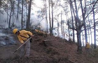 Meksika’da orman yangınlarıyla mücadele devam...