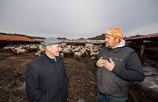 Mera İzmir ile 535 çobana ulaşıldı