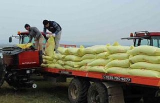 Meralar gübreleniyor