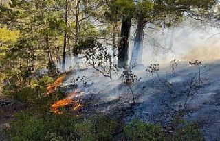 Mersin’de orman yangını, büyümeden kontrol altına...
