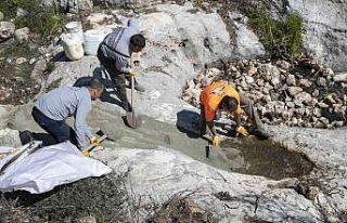 Mersin’de sinek ve haşereyle mücadele çalışmaları...