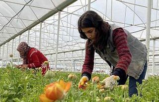 Meslek lisesi öğrencileri için uygulamalı tarım...