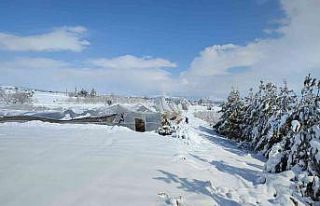 Meteorolojiden zirai don uyarısı