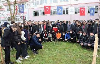 Meyve fidanları toprakla buluşuyor