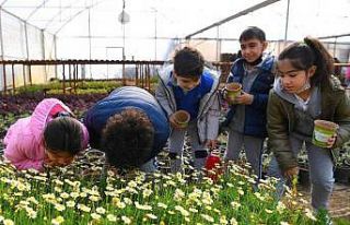 Minikler fidan dikimini öğrendi