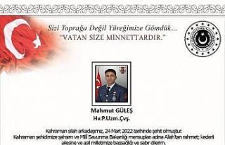 MSB: “İzmir’de eğitim esnasında yaşanan silah...