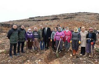 Muğla’da Şehit Yakınları Şehitler anısına...