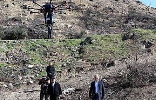 Muratpaşa yanan ormanları dronla tohumluyor