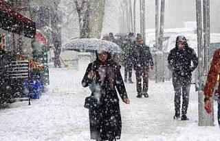 Muş’ta 47 köy yolu ulaşıma kapandı