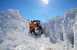 Muş’ta 5 metrelik karda yol açma çalışması