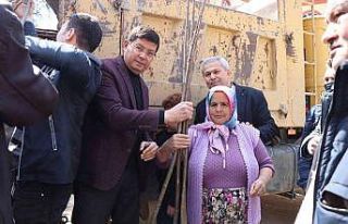 Nazilli Belediyesi’nden üreticilere 10 bin kestane...