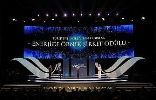 OEDAŞ’a “Enerjide Örnek Şirket” ödülü