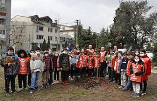 Öğrenciler, kiraz fidanı dikti