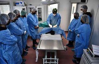 Öğrencilere uygulamalı veterinerlik eğitimi