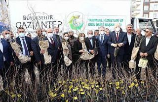 Oğuzeli’nde çiftçiye 15 bin nar ve 10 bin Antep...