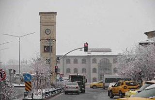 Oltu’da martta yağan kar besicileri zorluyor