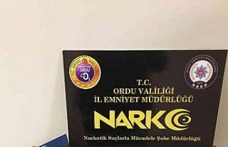 Ordu’da 2 torbacı tutuklandı