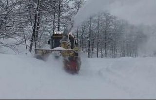 Ordu’da kar kalınlığı 2,5 metreyi geçti