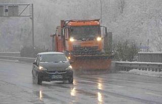 Ordu’da kar yağışı