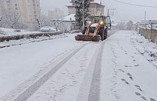Ordu’da karla mücadele sürüyor
