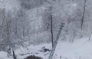 Ordu’da yaşanan heyelanda elektrik direğinin yıkılma...