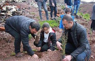 Ormancılık haftasında 400 fidan diktiler