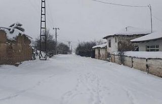 Osmaneli’nde yağan kar hayatı olumsuz etkiledi