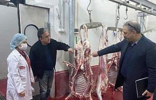 Osmaniye’de kesimhanelerde denetim yapıldı
