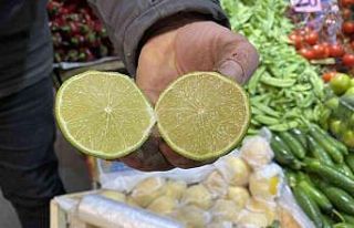Oteller kasa kasa alıyor, lime limonuna talep yoğun