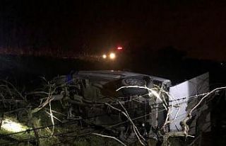 Otomobil üzüm bağına uçtu: 1 yaralı