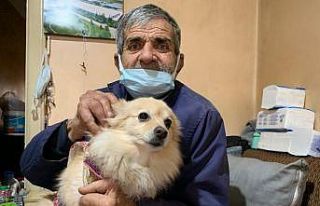 (ÖZEL) Eskişehir’de şallı köpek hırsızlığı