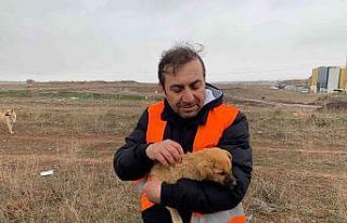 (ÖZEL) Her gün 50 kilometre yol giderek 400 köpeği...