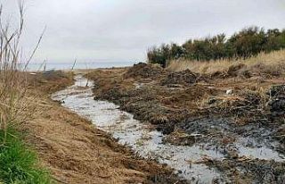 Plaj alanı açmak için dere yatağını değiştirdiler