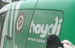 Polisten kargaya şefkat eli