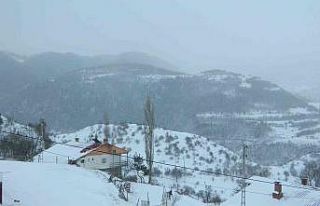 Posof’ta kar ve tipi okulları kapattı