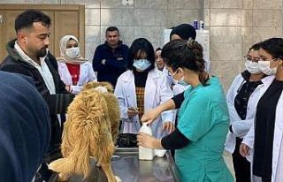 Rehabilitasyon merkezinde öğrenciler ders görecek