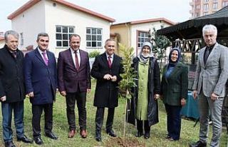Rize’de okul bahçelerine meyve fidanları dikildi