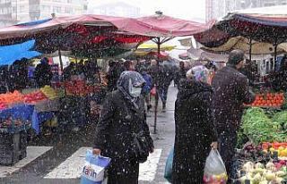 Rusya domatesi ihraç edemedi, fiyatı düştü