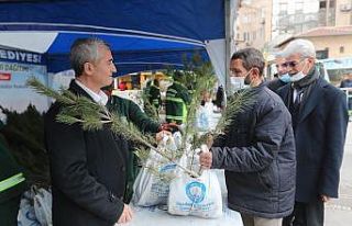 Şahinbey’de 150 bin çam fidanı dağıtıldı