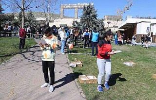 Şahinbey’de Oryantiring turnuvası