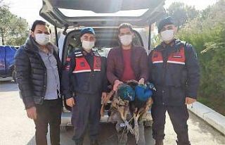 Şaka gibi hırsızlık şebekesi