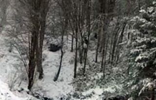 Sakarya’da yürekleri ağza getiren görüntü