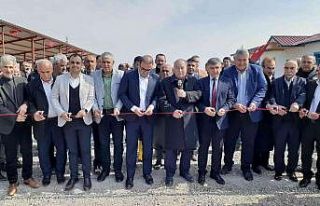 Samsat’ta canlı hayvan borsası açıldı