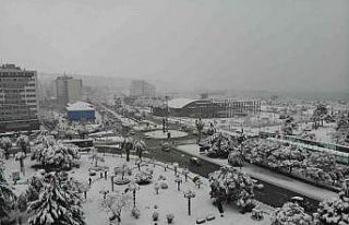 Samsun bembeyaz