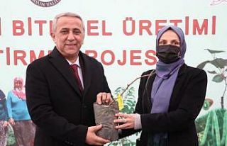 Samsun’da kivi üretiminde hedef 4 yılda 1. sıraya...