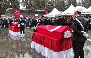 Şanlıurfa şehitleri memleketlerine uğurlandı