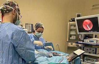 Şanlıurfa’da 7 yaşındaki kız çocuğuna başarılı...