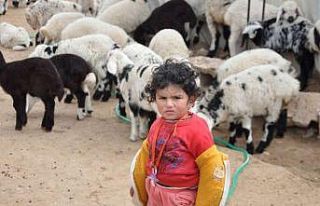 Şanlıurfa’da göçerlerin göç hazırlığı...